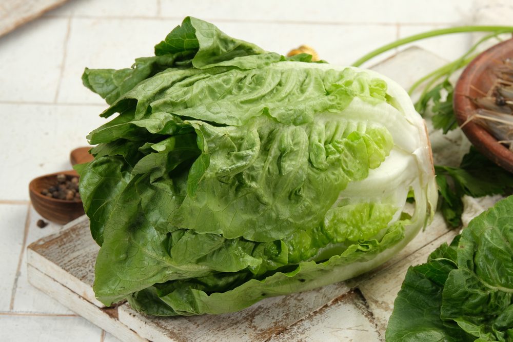 Romaine Lettuce